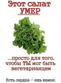 Вред вегетарианства 2. Вегетарианство и спорт.