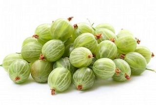 Крыжовниковая диета