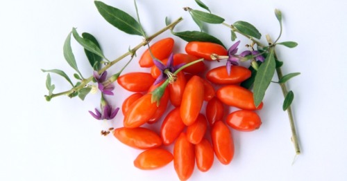 Ягоды годжи Green Ginger
