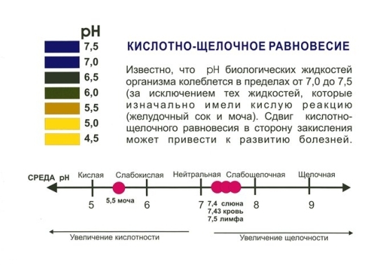 Кислотно-щелочная диета